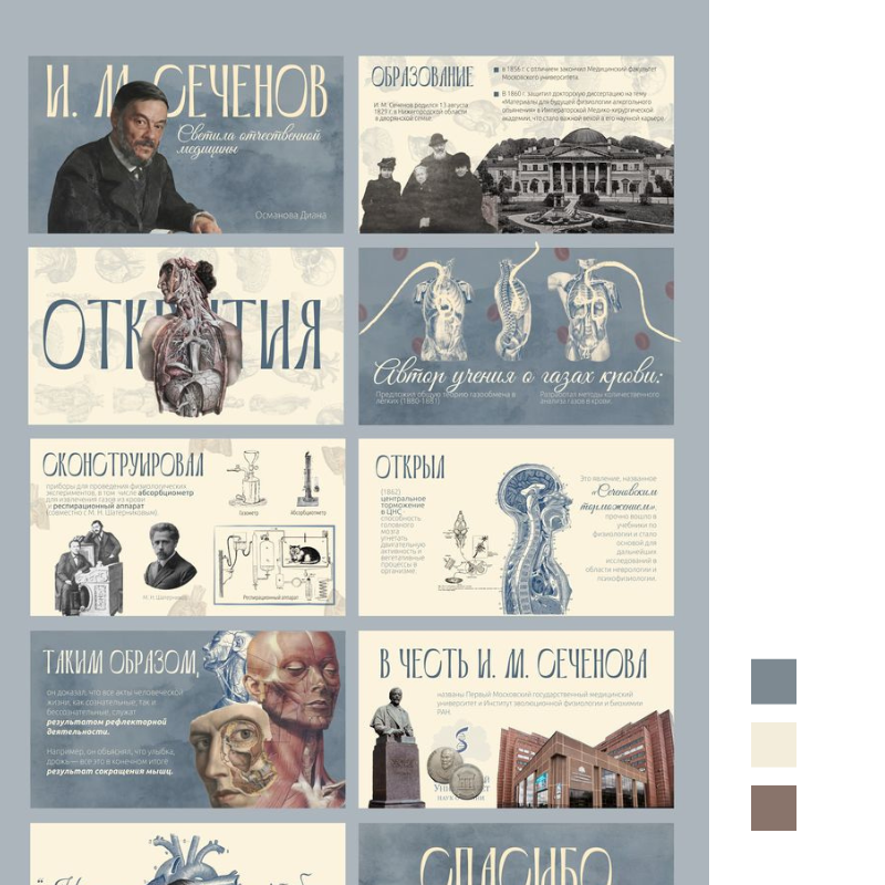 PowerPoint design Premium